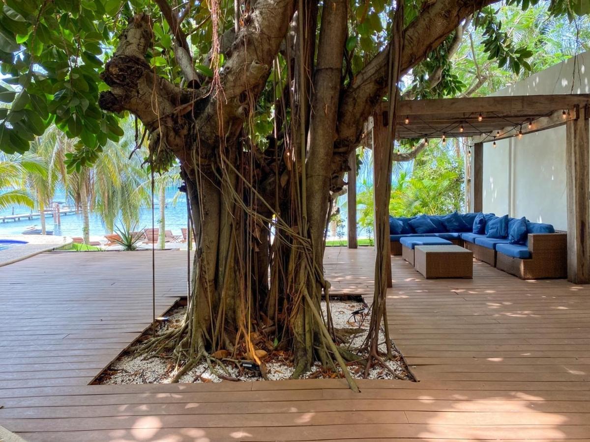 Villa Angela Isla Mujeres Exteriér fotografie